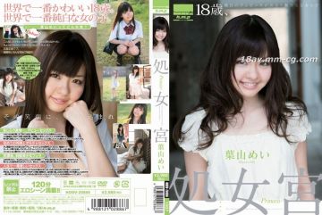 [中文]处女宫 Princess 叶山芽依