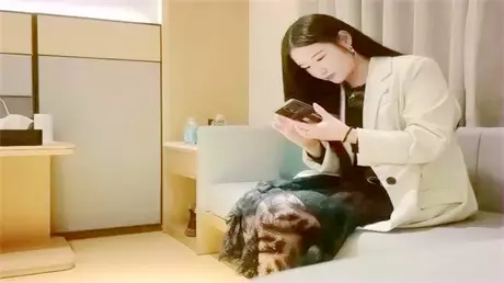 文轩探花约了个性感黑裙大长腿妹子啪啪，舌吻互摸调...